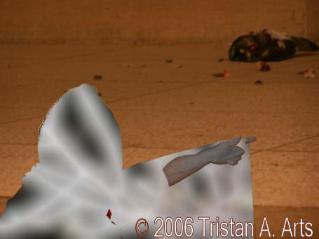 &copy;2006 Tristan A. Arts