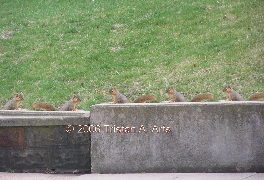 &copy;2006 Tristan A. Arts