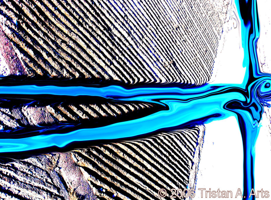 &copy; 2006 Tristan A. Arts